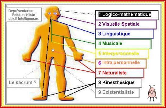 _Le corps humain et le cervau sont en admirable symbiose_